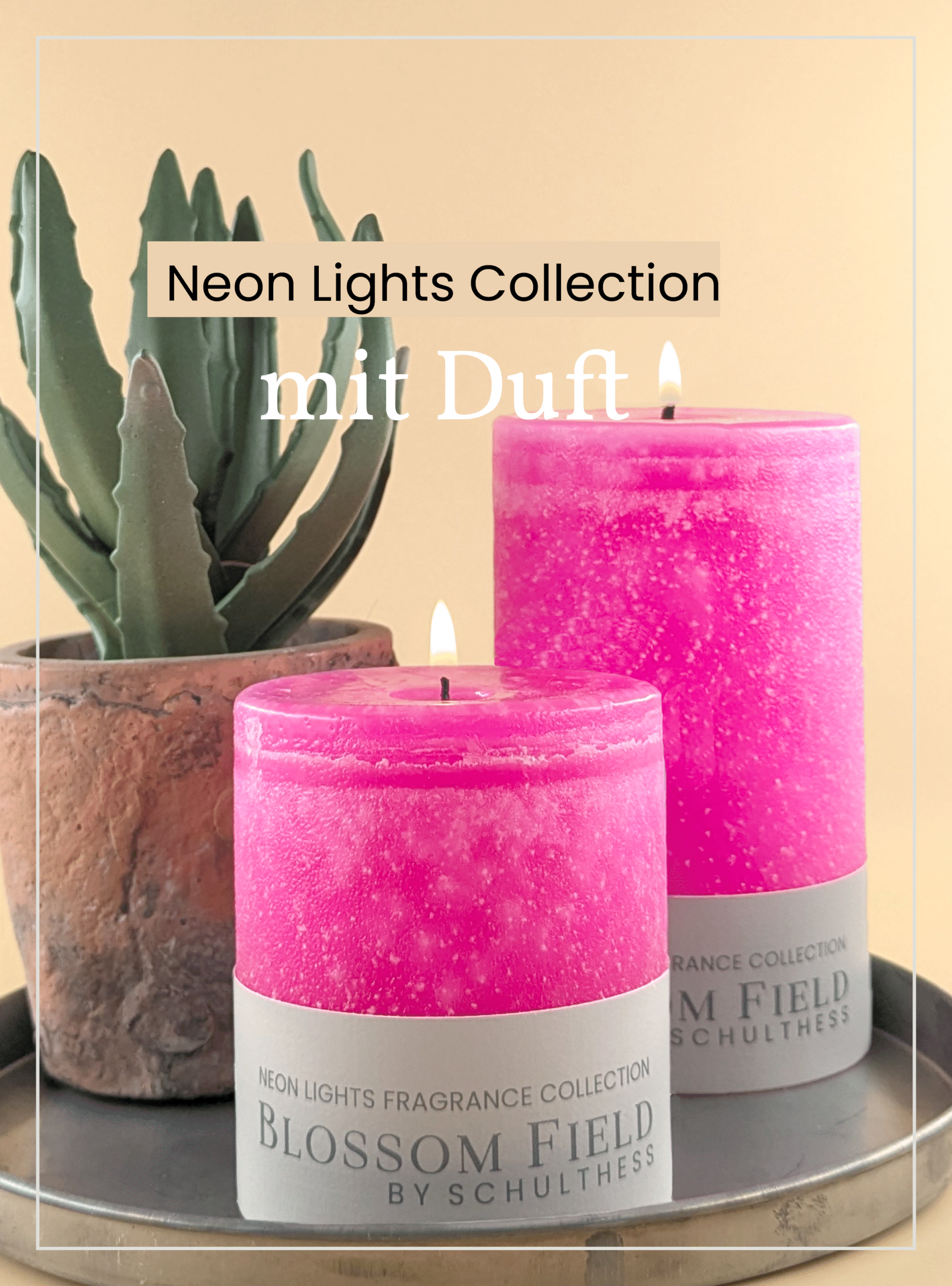 NeonLightsFragrance hoch1